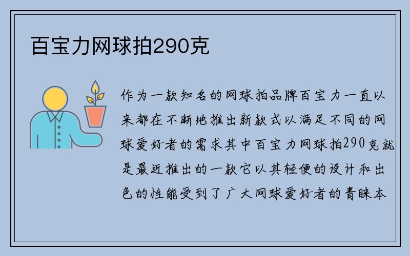 百宝力网球拍290克