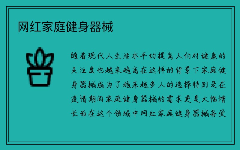 网红家庭健身器械