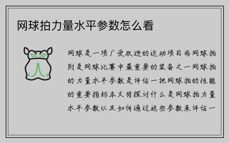 网球拍力量水平参数怎么看