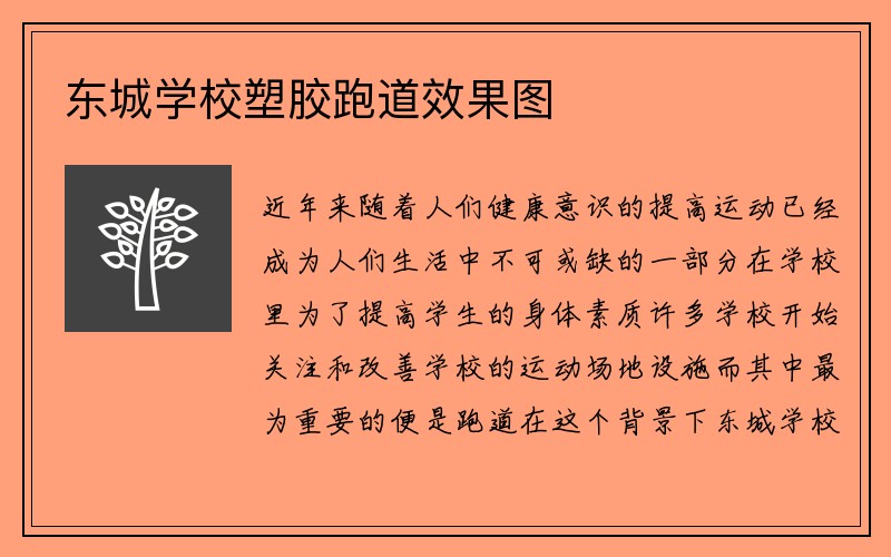 东城学校塑胶跑道效果图