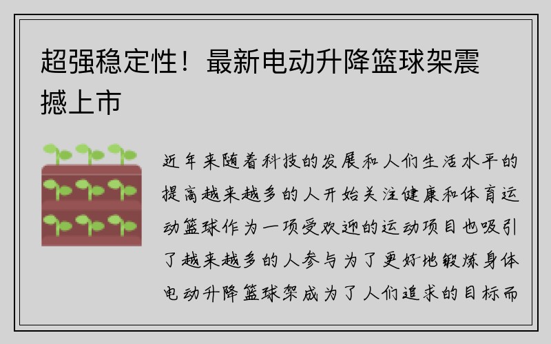 超强稳定性！最新电动升降篮球架震撼上市