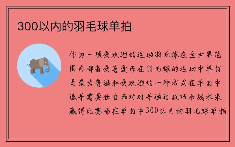 300以内的羽毛球单拍