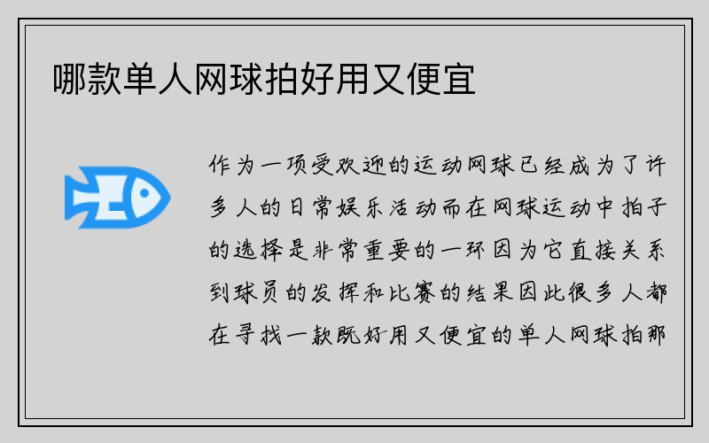 哪款单人网球拍好用又便宜