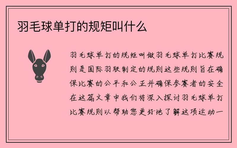 羽毛球单打的规矩叫什么