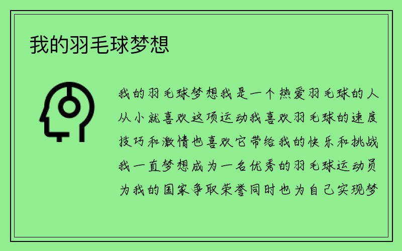 我的羽毛球梦想